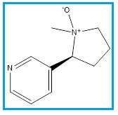Nicotine Related Compound E